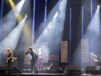 Cansearch ldd©CaroleParodi_web-8642